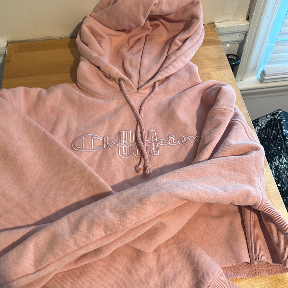Champion small hoodie crop top